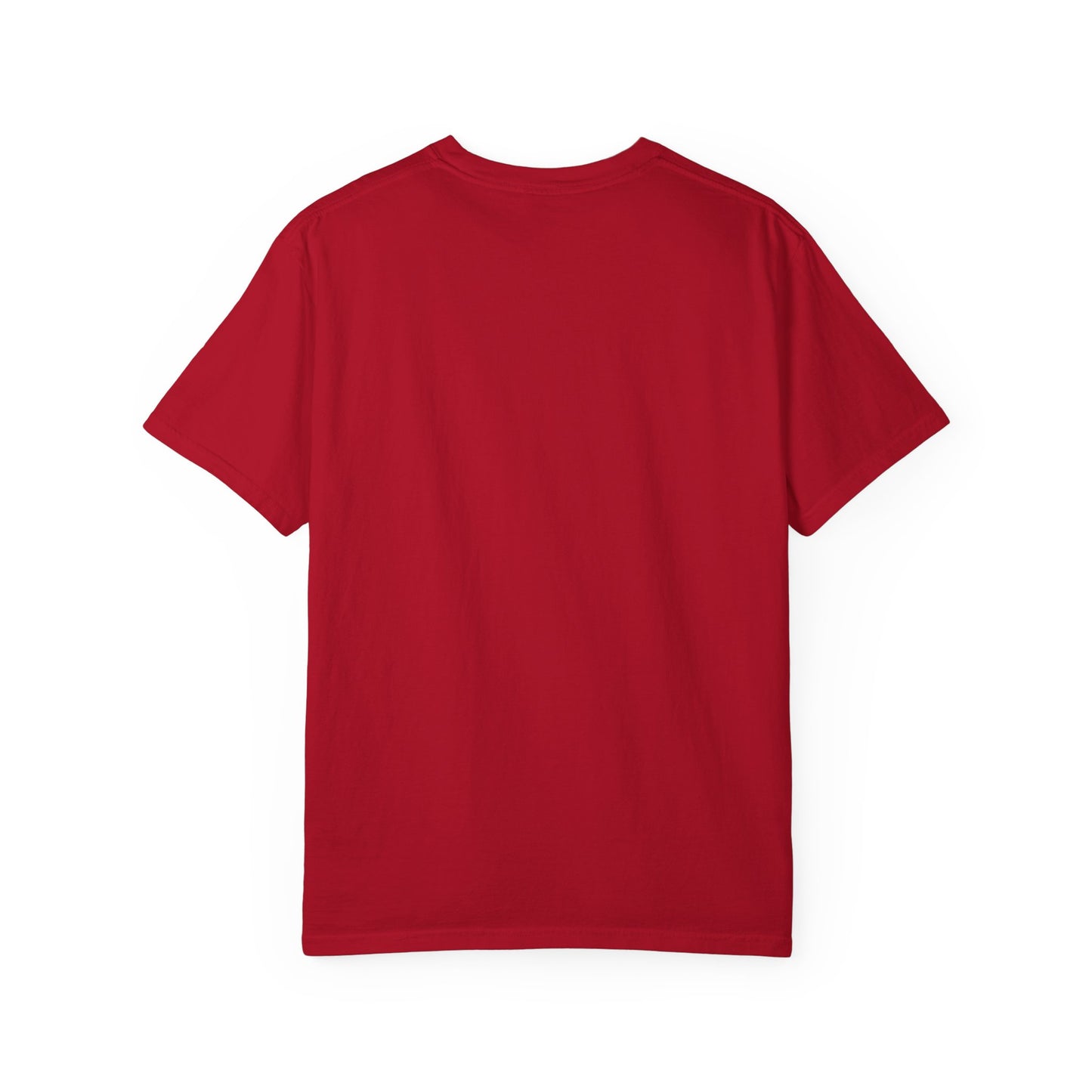 Unisex Garment-Dyed T-Shirt with 'Jesus is King' Print, Faith-Based Apparel, Christian Gift, Casual Wear, Church Event, Spiritual Expression